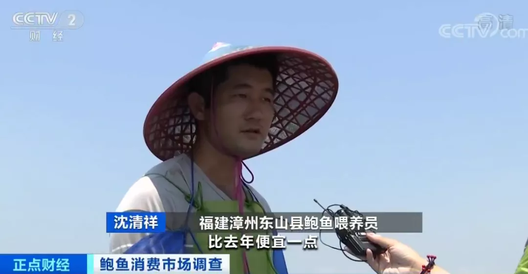 浙样的生活|大跌！一斤只要20元？浙江人爱吃的这菜价格“腰斩”！