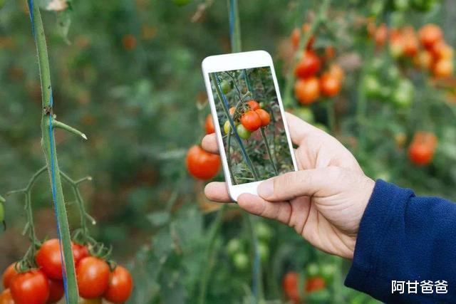 「」这3个农业类专业全国仅一两所大学有开设,毕业生很抢手