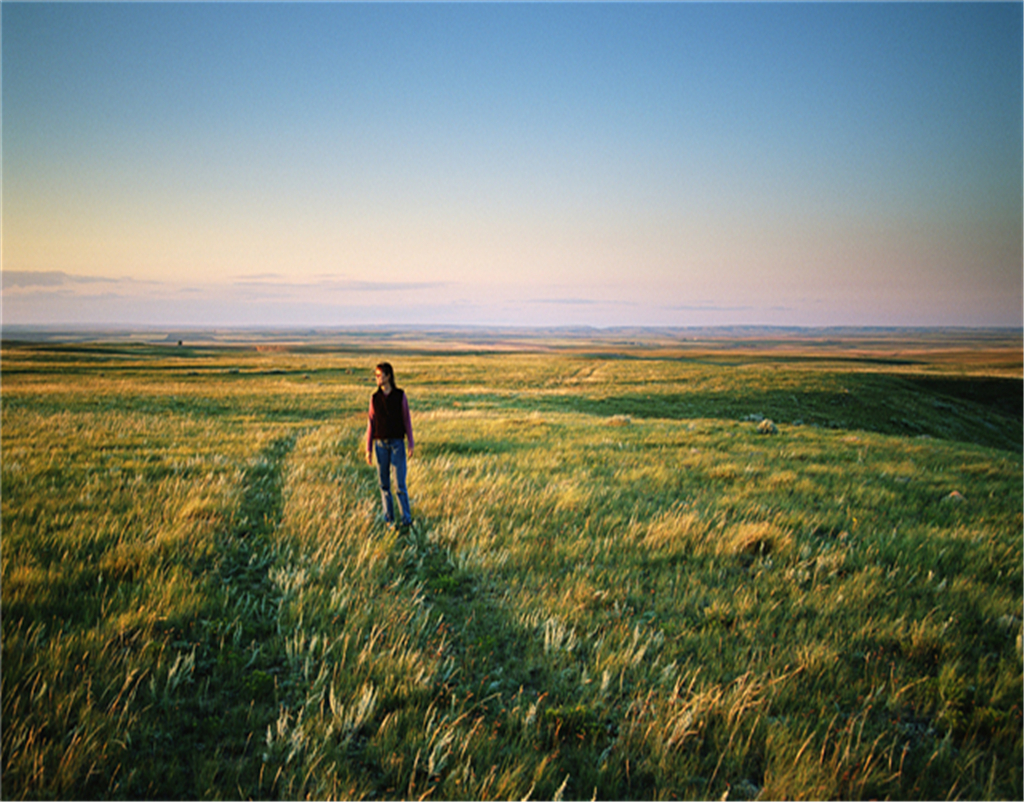 生肖|七夕鹊桥会，正桃花降临，3个星座有望遇见有缘人！