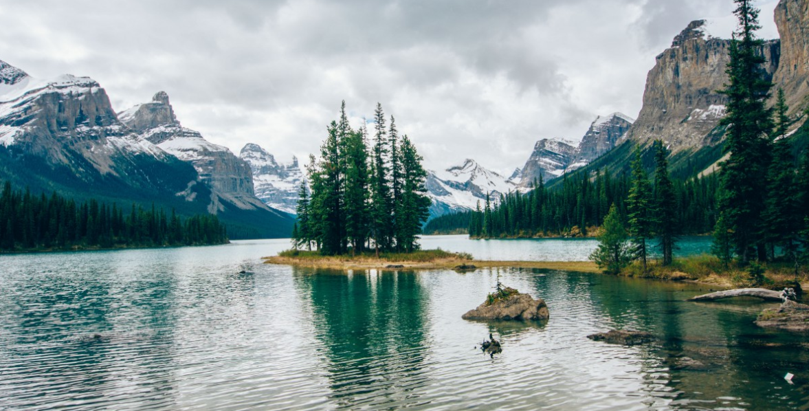 生肖|10月底,复合在即,共度爱河,3生肖心心念念,纠纠缠缠爱到底