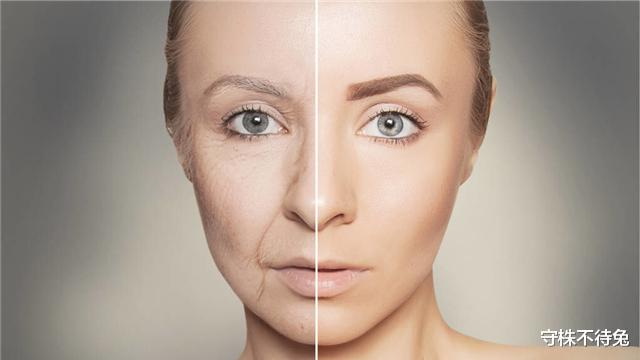 |26个冷知识:或许只有少数人知晓,但却真实存在的有趣事实