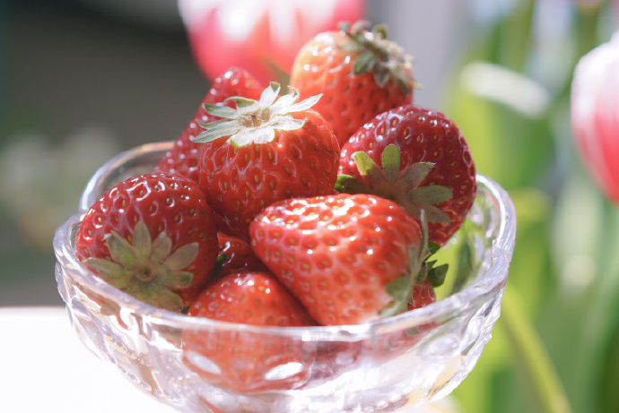 狮子座|天上掉馅饼也不会捡的星座,不是自己的东西,他们就不碰