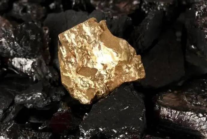 蟒蛇|自然界最富有的3种生物，一出生自带24K黄金，抓到一只吃穿不愁