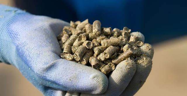 「」颗粒、破竿、马扎：一套看似外行的装备，却演绎出饲料钓鱼的精髓