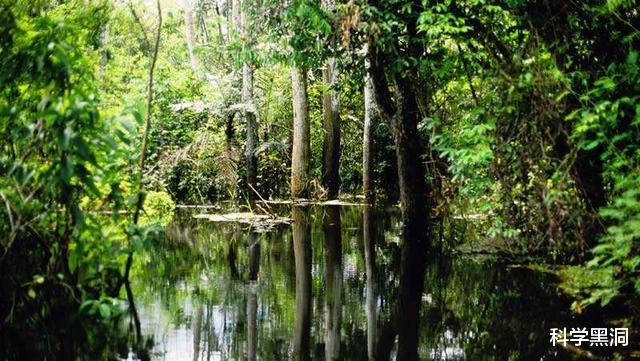 毒蛇■蛇真的会记仇并且实施报复吗？蛇类到底有多可怕？