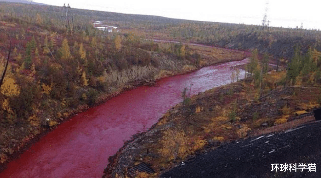 二氧化碳|太异常!“北极热”致5900万吨二氧化碳释放,地球还能生存多久?