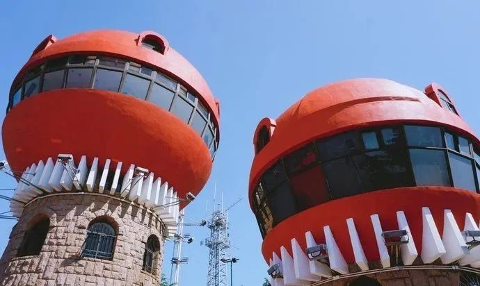 「甘南」是时候去青岛啦!