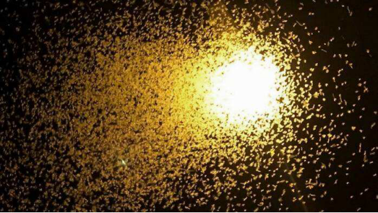 白蚁|太空卫星拍下英国天空的奇景:这简直是“反人类”操作