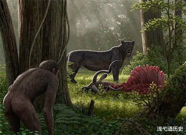 老虎|人类真的没有天敌？有一种动物差点吃光人类祖先，至今有人仍害怕