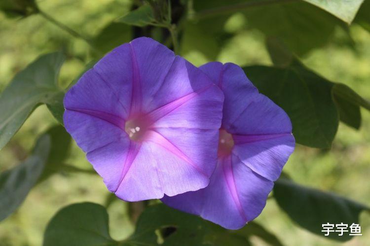 运势|9月开始翻身赚大钱，有贵人助力，余生都幸福的四大生肖