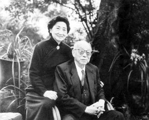 杨宇霆▲张少帅干掉杨宇霆是因为杨想谋反吗