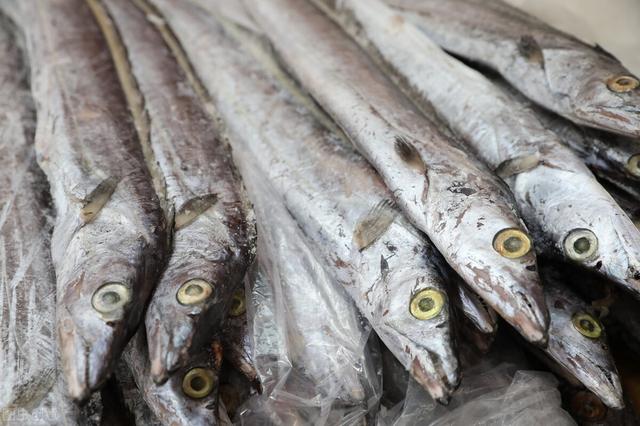 海鱼|这4种海鱼,至今只有野生捕捞,内行人遇到后直接买,鲜嫩又爽滑