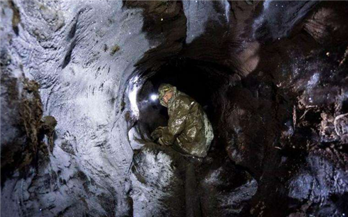 『科学家』科学家为长生不老，注射了350万年前的细菌，2年后出现了“奇迹”