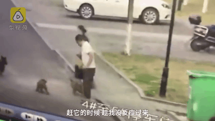 奔波儿灞与灞波儿奔|88岁老人被绊倒摔死，为啥全网都在骂那个12岁的小女孩？