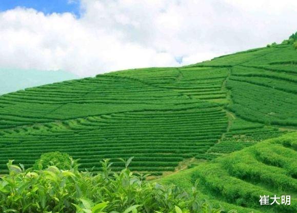 运势|年底运势越来越红火，4属相财运与日俱增，生活越来越好