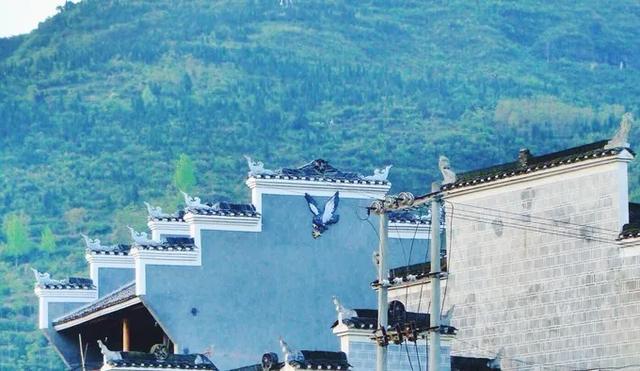 『甘肃』国内“最适合养老小城”，也是夏日避暑首选，还藏着座天空之城！