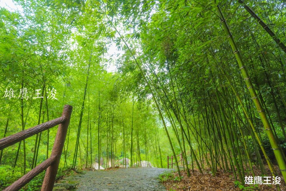 「灵山」藏在皖苏浙交界处的避暑天堂，瀑布成群、气温宜人，知道的人不多