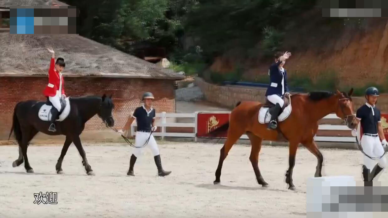 明星|《奔跑吧》节目中首次,男嘉宾遭导演怒怼,女嘉宾却又怒怼男导演