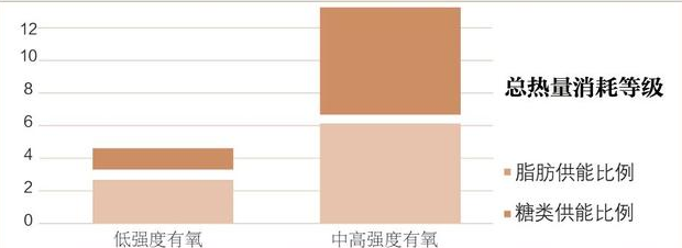 「有氧运动」不再盲目，真正的聪明人，减肥都这么做