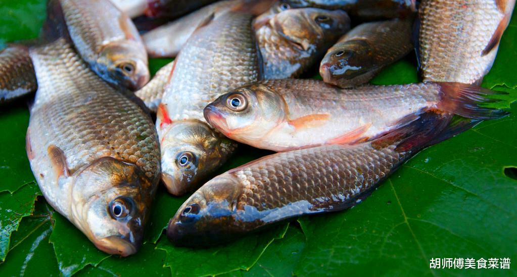 香菇|明天小雪，别忘了吃3白、3黑，少食3样，助家人顺利度过寒冬