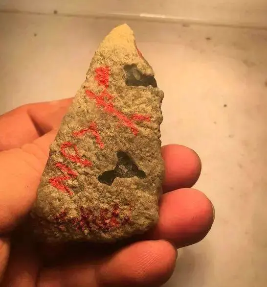 翡翠|货主捡漏一块莫西沙翡翠原石，皮壳紧凑全身脱沙，成品栩栩如生！
