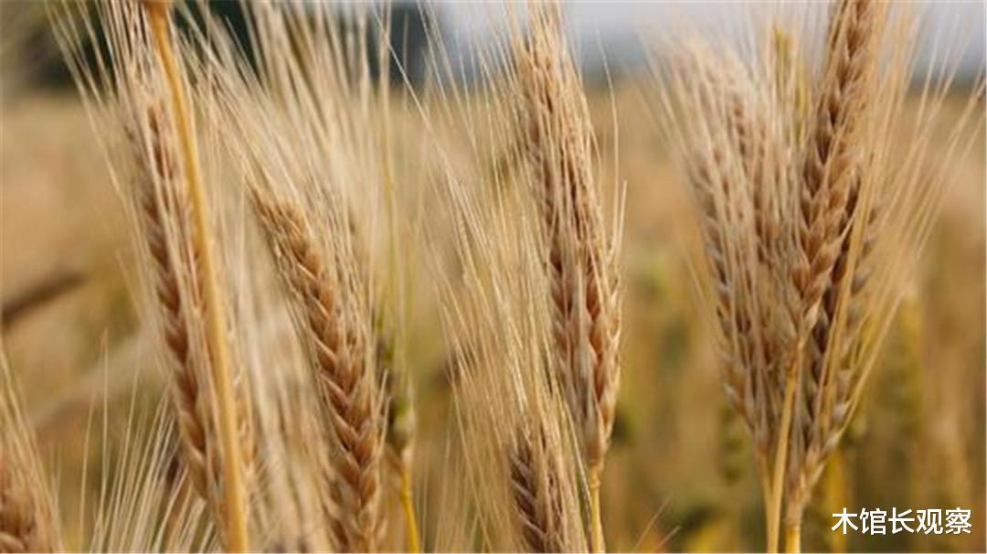 「伯明翰」“断供铁矿”后续来了，中方“如你所愿”，伯明翰几乎绝望！