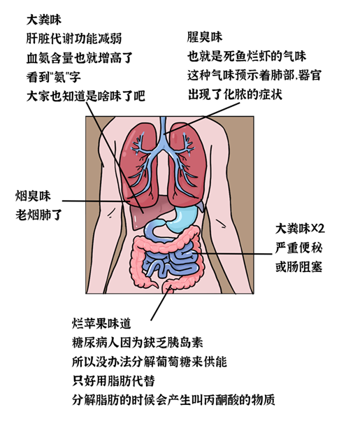 口臭■一张嘴就一股口臭味？提醒：嘴巴有5种味道，可能是疾病信号