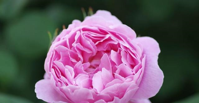 天秤座|7月中旬开始翻身赚大钱，事业辉煌腾达，再也不操心钱的三大生肖