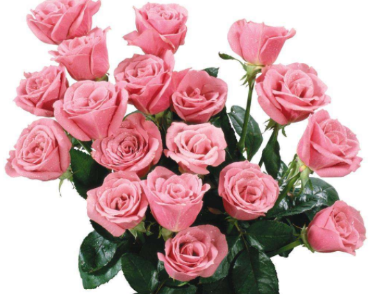 【运势】婚后喜欢勾三搭四的3个生肖女,见一个爱一个,生性风流花心