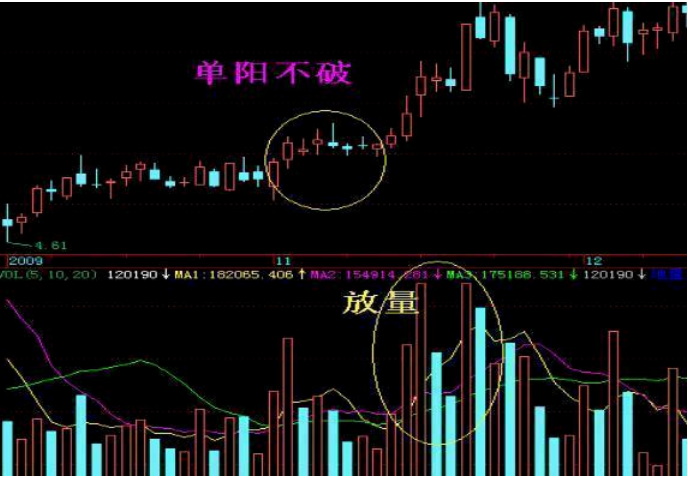 交易 股票一旦出现“单阳不破”，跟着主力走，坐稳主力轿子不下车
