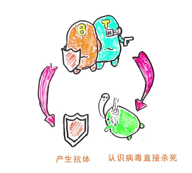 乙肝|张文宏说乙肝能临床治愈，那为什么还有携带者7000多万？