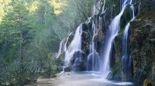 『生肖』一辈子没人心疼的五个生肖女