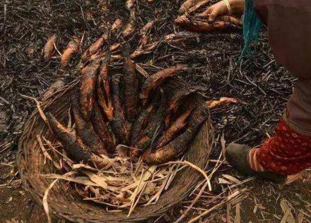 印度|印度不吃牛肉和猪肉，那么他们到底吃什么肉呢？国人：大开眼界