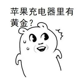 ：iPhone 12不再附送充电器，深度分析苹果为哪般