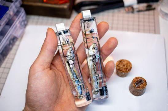 |日本人用鱼脑制作U盘？容量可达32GB？网友：时限7秒吗？