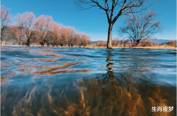 |10月初，旧情人不舍，主动示软，3生肖思念炽热，期待旧情复燃