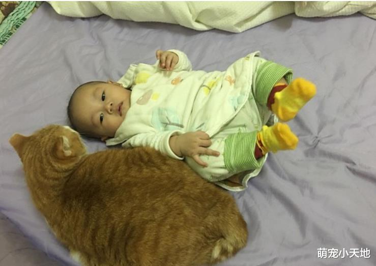 宝宝身边多了一只等身大鲷鱼烧，网友细看笑翻：好有才！