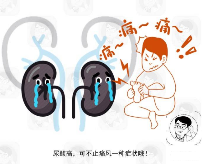 『饮食』尿酸高是吃出来的？告诫：不想肾衰光临，常吃3物尿酸稳定防痛风