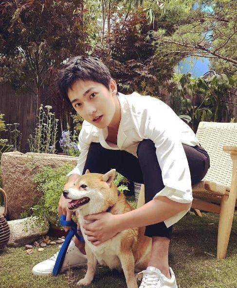 杨洋■肖战失去与热巴合作机会？杨洋为截胡这部剧，不惜放弃一番位置