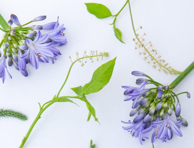 生肖|智商很高，难以按套路出牌的星座，头脑好，善于应对很多场合