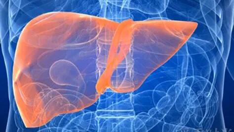 肝脏:常听人说起“肝毒”,怎样自测“肝毒”?“肝毒”多有什么表现?