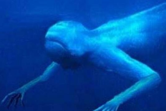 揭秘南极巨型“怪物”：高30米体态似人非人，科学家们吵翻了