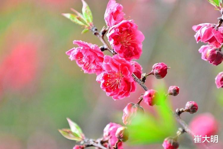 「运势」6月下旬终于要转运了，喜运降临，收获颇丰的3生肖