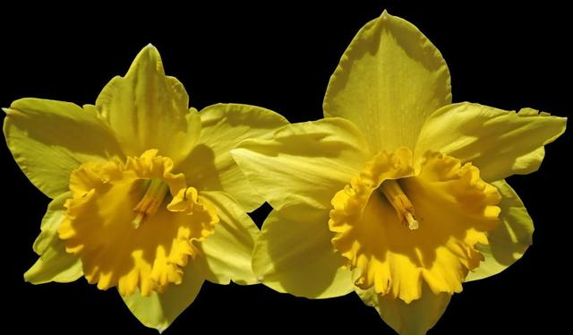 天赐良缘|10月份这四大星座好运稳如山，横财从天降，要抓住机会了