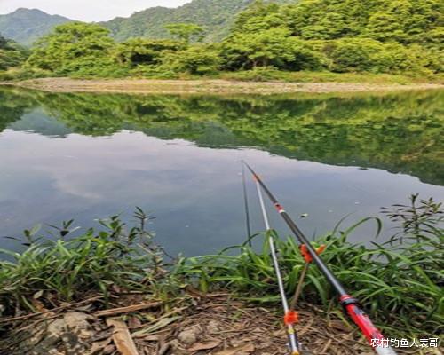 「312国道」初夏升温自然水域的鲢鳙该如何作钓？老钓友教你三招主钓鲢鳙