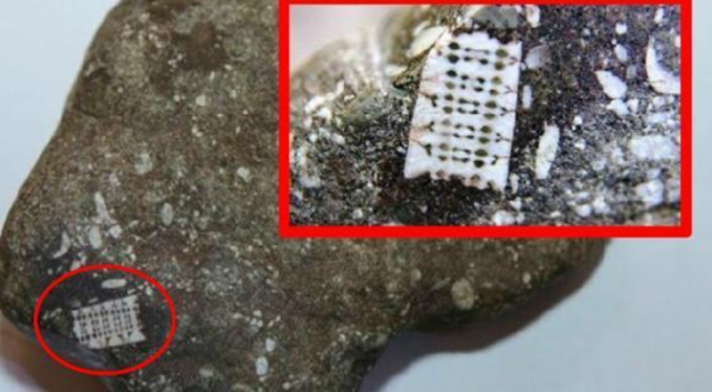 「外星人」俄罗斯曾发现2.5亿年前的电脑芯片, 外星人早已盯上地球?