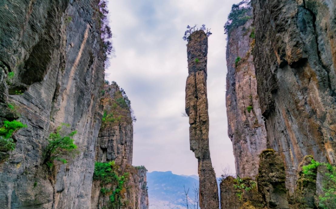 旅游景点|我国一处仙境,当地森林覆盖率达到71%,网友称:到此来洗肺