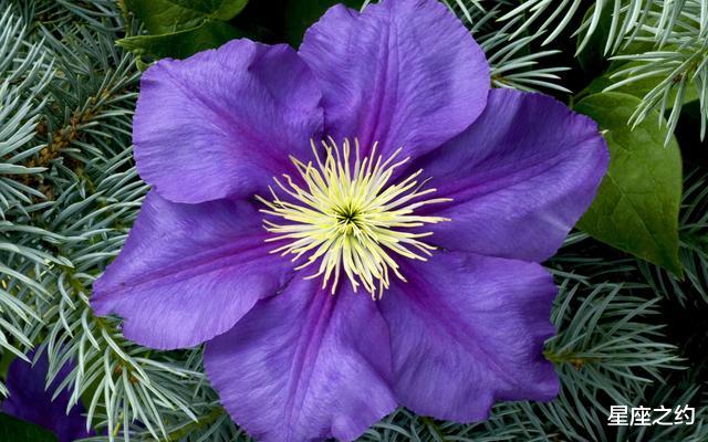 生肖▲在6月上旬,扬帆起航,为梦拼搏,心想事成的三大星座