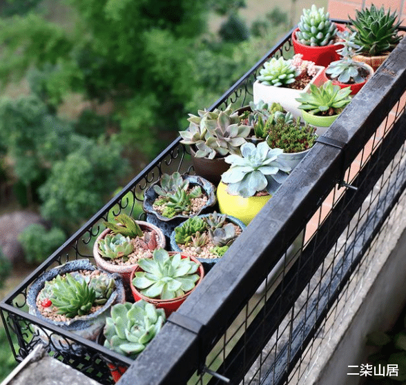 |去邻居家借东西,发现他家这样晾晒衣服,真机智,拍下回去模仿!