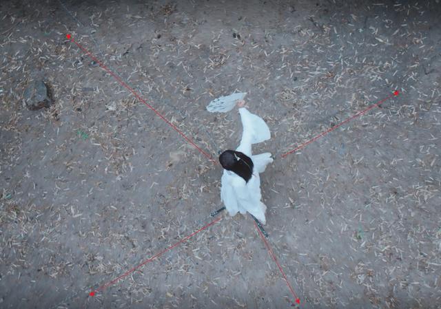 罗云熙@拜托不要再用“古装美男子”来吹捧罗云熙了